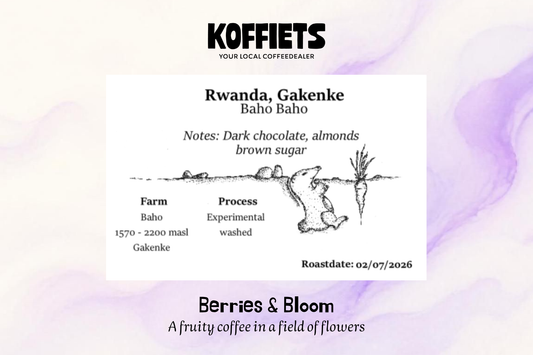 Baho baho, Rwanda (filter roast)